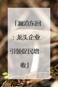 澜沧东回：龙头企业引领促民增收