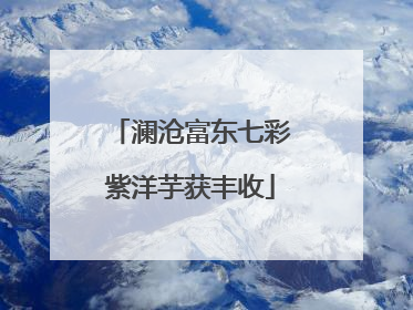 澜沧富东七彩紫洋芋获丰收