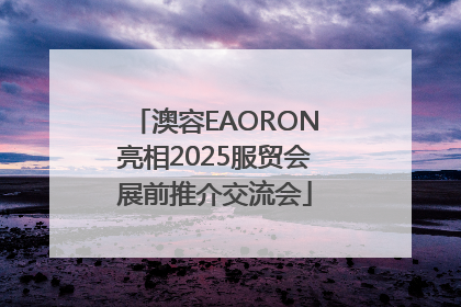澳容EAORON亮相2025服贸会展前推介交流会
