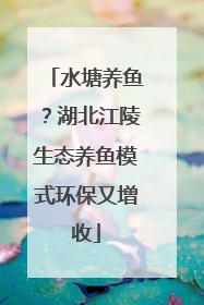 水塘养鱼？湖北江陵生态养鱼模式环保又增收