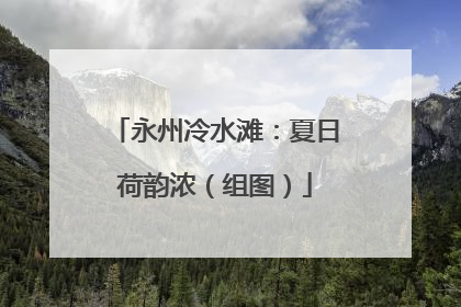 永州冷水滩：夏日荷韵浓（组图）