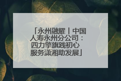 永州融耀丨中国人寿永州分公司：四力擎旗践初心 服务潇湘助发展