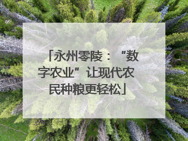 永州零陵：“数字农业”让现代农民种粮更轻松