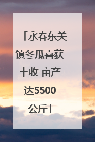 永春东关镇冬瓜喜获丰收 亩产达5500公斤