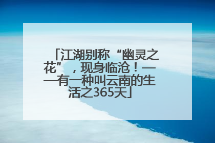 江湖别称“幽灵之花”，现身临沧！——有一种叫云南的生活之365天