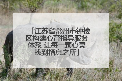 江苏省常州市钟楼区构建心育指导服务体系 让每一颗心灵找到栖息之所