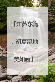 江苏东海：初夏湿地美如画