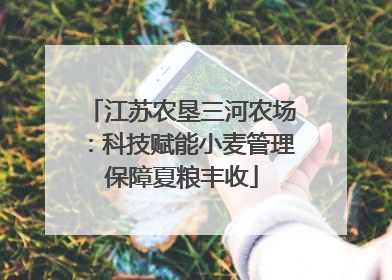 江苏农垦三河农场：科技赋能小麦管理保障夏粮丰收