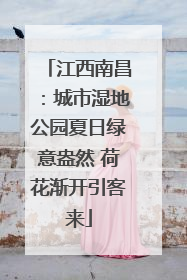 江西南昌：城市湿地公园夏日绿意盎然 荷花渐开引客来