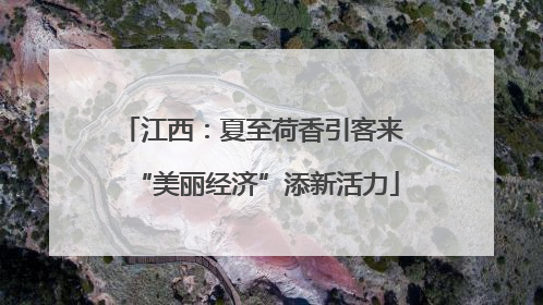 江西：夏至荷香引客来 “美丽经济”添新活力