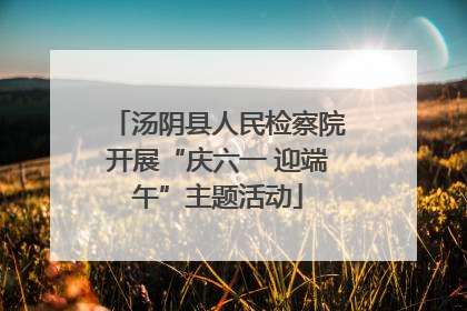 汤阴县人民检察院开展“庆六一 迎端午”主题活动
