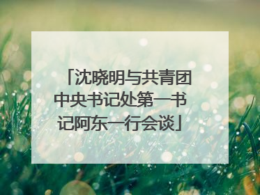 沈晓明与共青团中央书记处第一书记阿东一行会谈