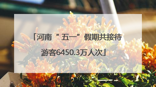 河南“ 五一”假期共接待游客6450.3万人次