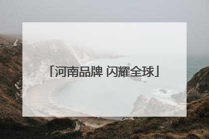 河南品牌 闪耀全球