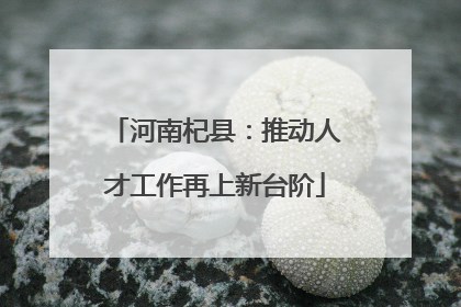河南杞县：推动人才工作再上新台阶