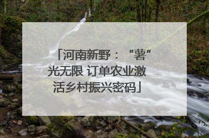 河南新野：“薯”光无限 订单农业激活乡村振兴密码