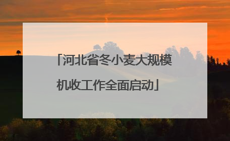 河北省冬小麦大规模机收工作全面启动