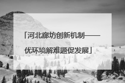 河北廊坊创新机制——优环境解难题促发展
