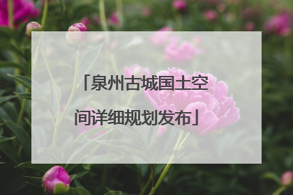 泉州古城国土空间详细规划发布