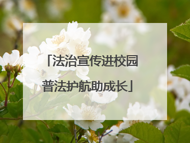 法治宣传进校园 普法护航助成长