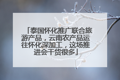 泰国怀化推广联合旅游产品，云南农产品运往怀化深加工，这场推进会干货很多