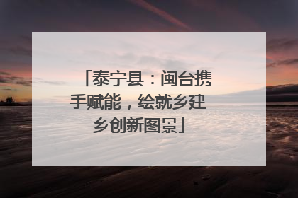 泰宁县：闽台携手赋能，绘就乡建乡创新图景