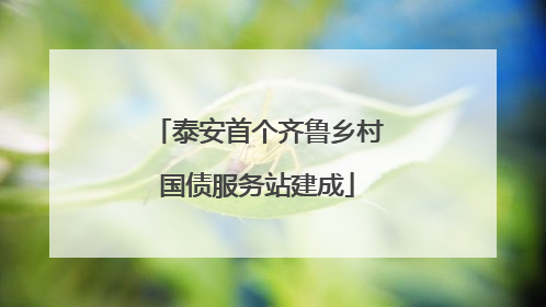 泰安首个齐鲁乡村国债服务站建成
