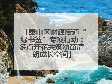 泰山区财源街道“绿书签”专项行动：多点开花共筑幼苗清朗成长空间