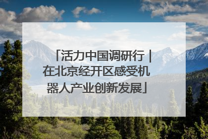 活力中国调研行｜在北京经开区感受机器人产业创新发展