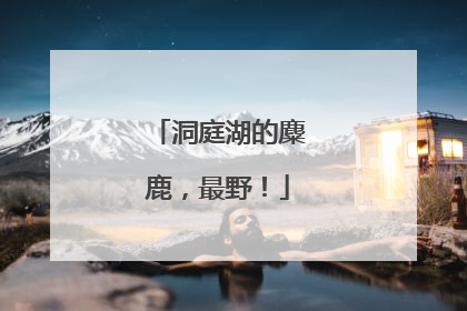 洞庭湖的麋鹿，最野！