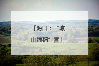 海口：“琼山福稻”香
