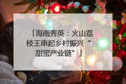 海南秀英：火山荔枝王串起乡村振兴“甜蜜产业链”