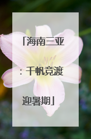 海南三亚：千帆竞渡迎暑期