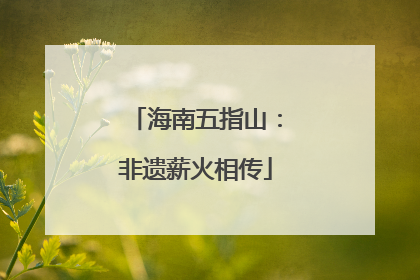 海南五指山：非遗薪火相传