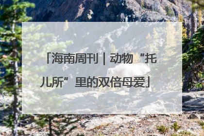海南周刊｜动物“托儿所”里的双倍母爱