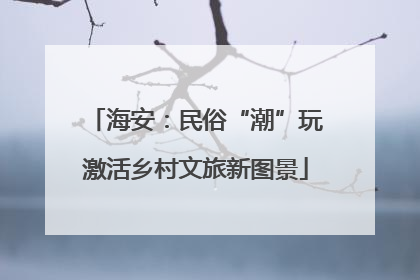 海安：民俗“潮”玩激活乡村文旅新图景