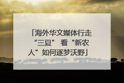 海外华文媒体行走“三夏” 看“新农人”如何逐梦沃野