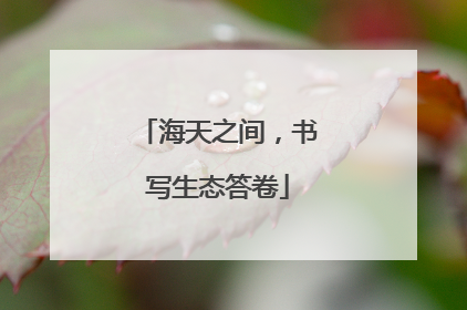 海天之间，书写生态答卷