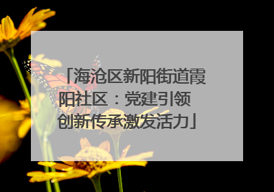 海沧区新阳街道霞阳社区：党建引领 创新传承激发活力