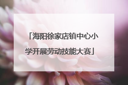 海阳徐家店镇中心小学开展劳动技能大赛