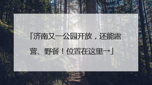 济南又一公园开放，还能露营、野餐！位置在这里→