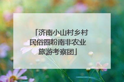 济南小山村乡村民俗圈粉南非农业旅游考察团