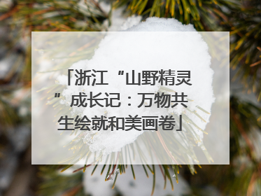 浙江“山野精灵”成长记：万物共生绘就和美画卷