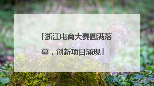 浙江电商大赛圆满落幕，创新项目涌现