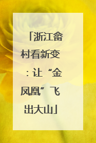 浙江畲村看新变：让“金凤凰”飞出大山