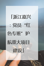 浙江嘉兴：党员“红色专班”护航重大项目建设