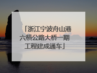 浙江宁波舟山港六横公路大桥一期工程建成通车