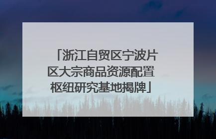 浙江自贸区宁波片区大宗商品资源配置枢纽研究基地揭牌
