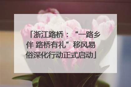 浙江路桥：“一路乡伴 路桥有礼”移风易俗深化行动正式启动