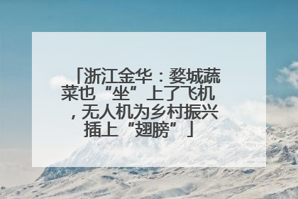 浙江金华：婺城蔬菜也“坐”上了飞机，无人机为乡村振兴插上“翅膀”